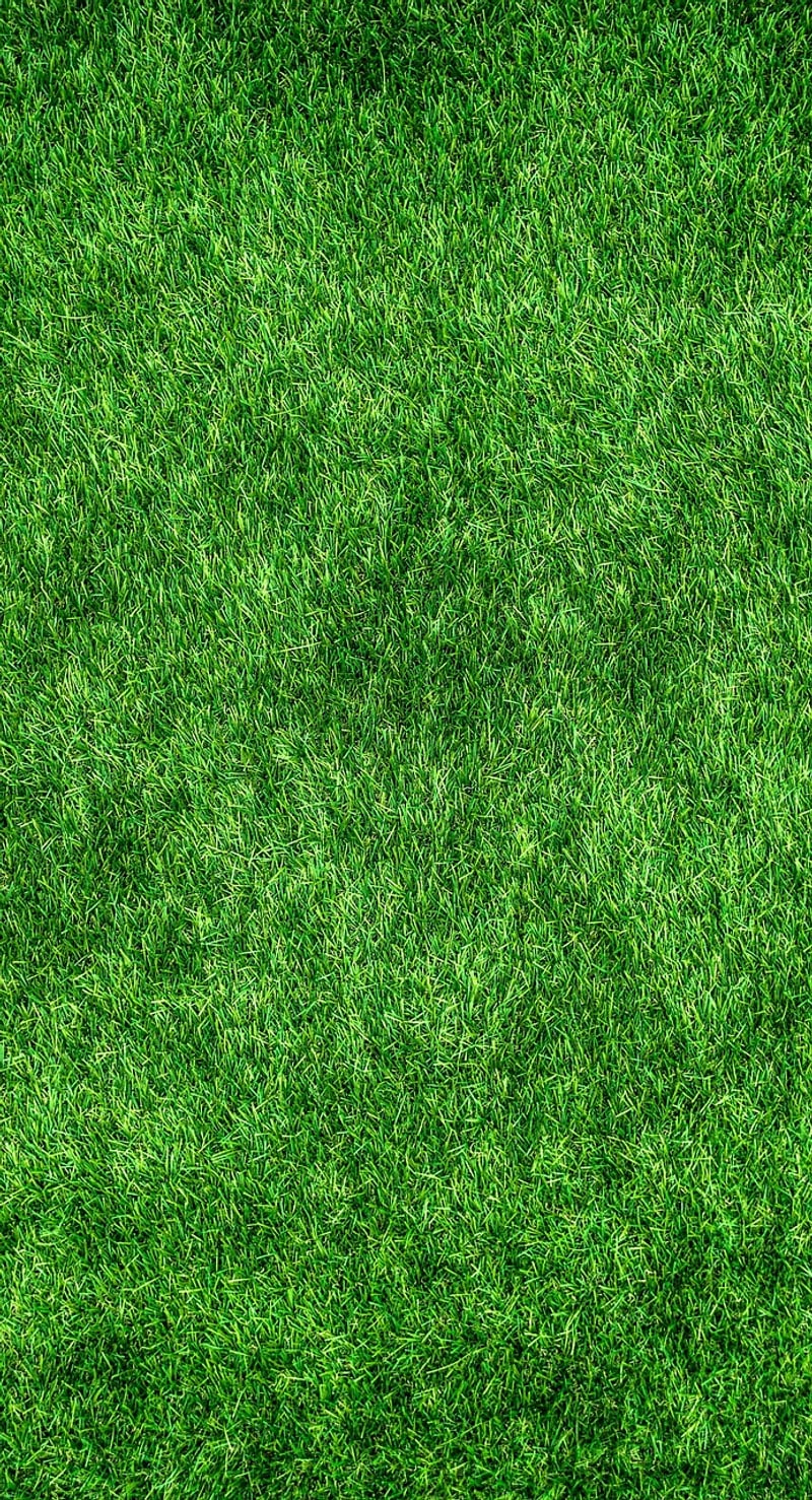 Profitable Eco-Friendly Models