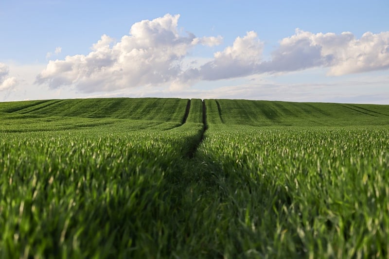 Sustainable Agriculture
