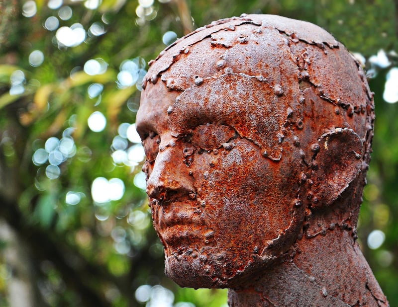 Sculpture in nature