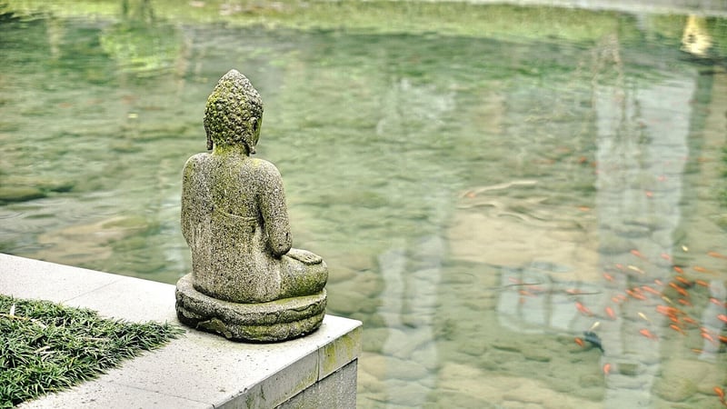 Sculpture in nature
